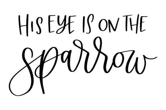 Eye on the Sparrow SVG Review for Real Projects